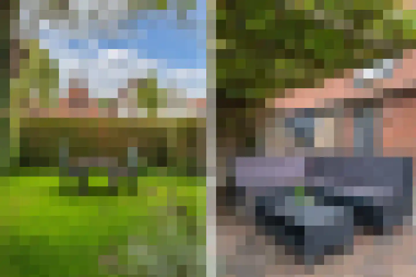 Tsjerkebuorren 5 Aldeboarn thumbnail 60
