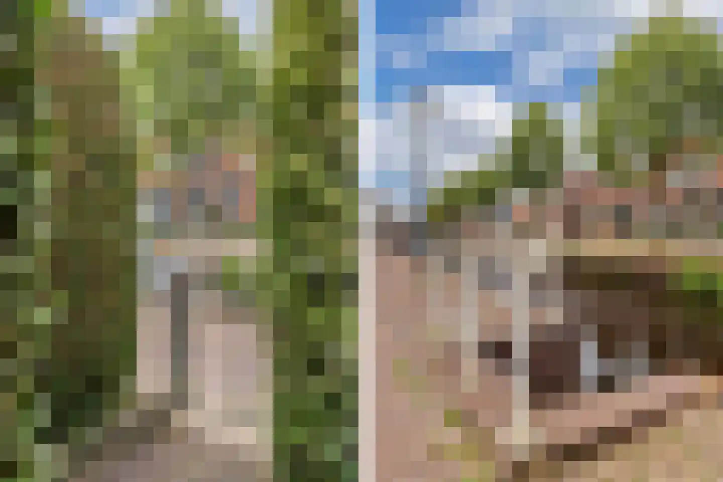 Tsjerkebuorren 5 Aldeboarn thumbnail 63