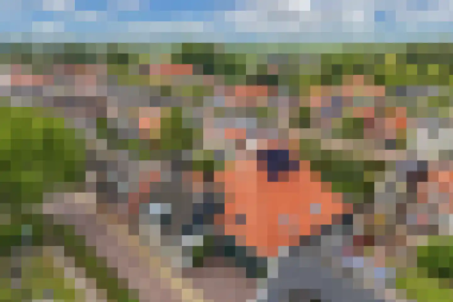 Tsjerkebuorren 5 Aldeboarn thumbnail 74