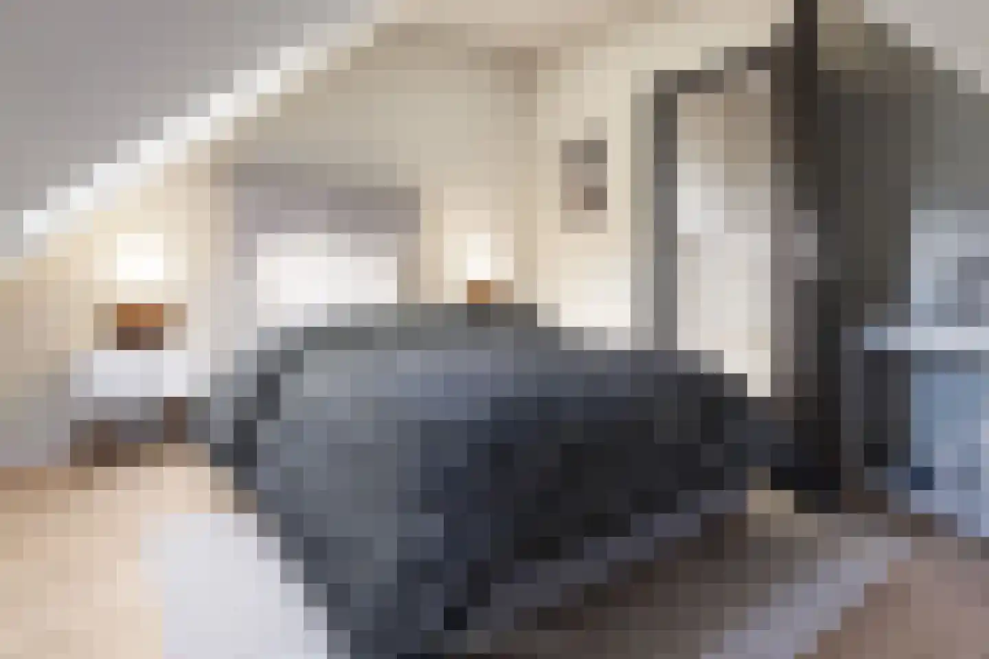 Tsjerkebuorren 5 Aldeboarn thumbnail 80