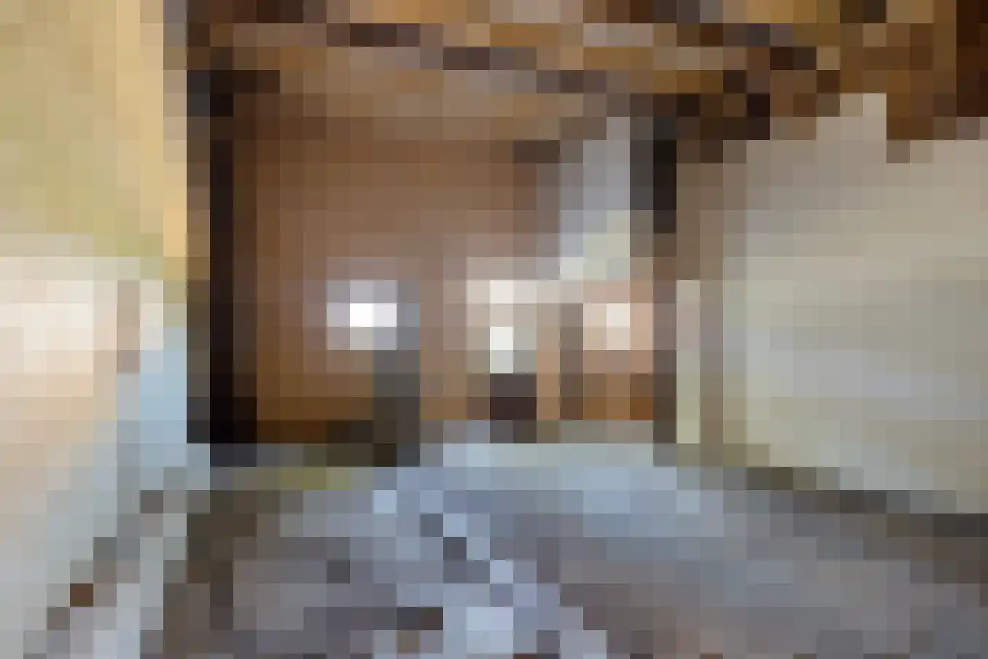 Tsjerkebuorren 5 Easterein thumbnail 13
