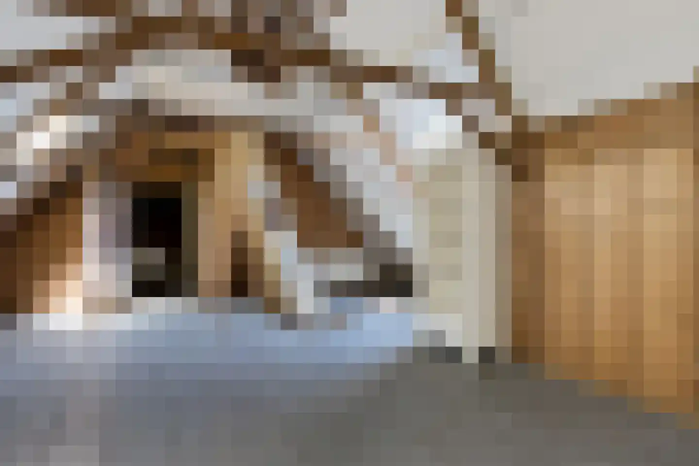 Tsjerkebuorren 5 Easterein thumbnail 18