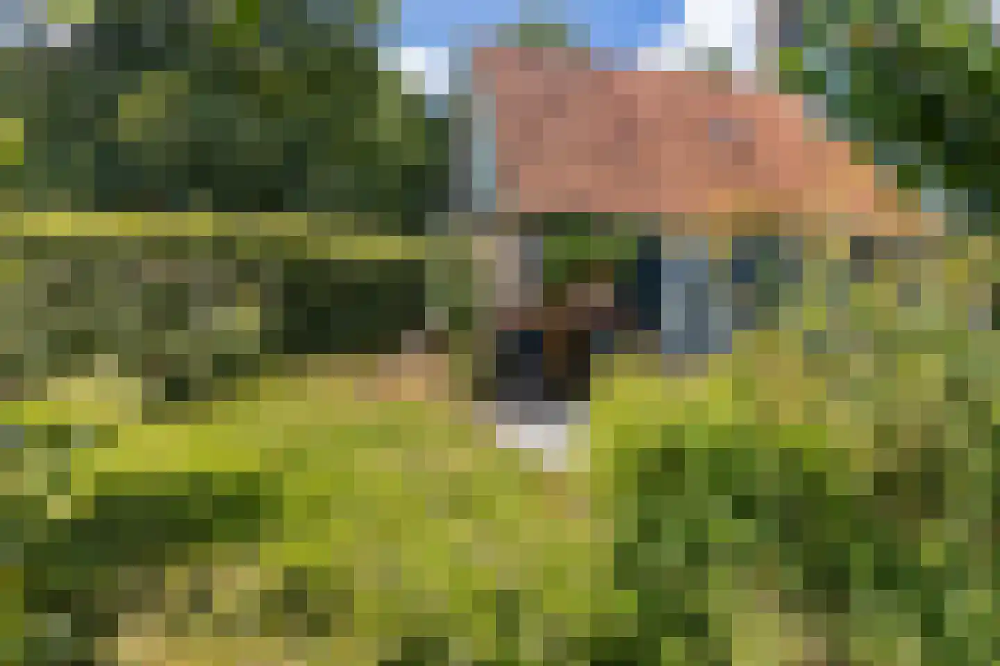 Tsjerkebuorren 5 Easterein thumbnail 21