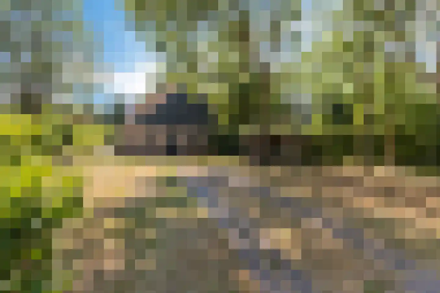 Tsjerkebuorren 5 Easterein thumbnail 22