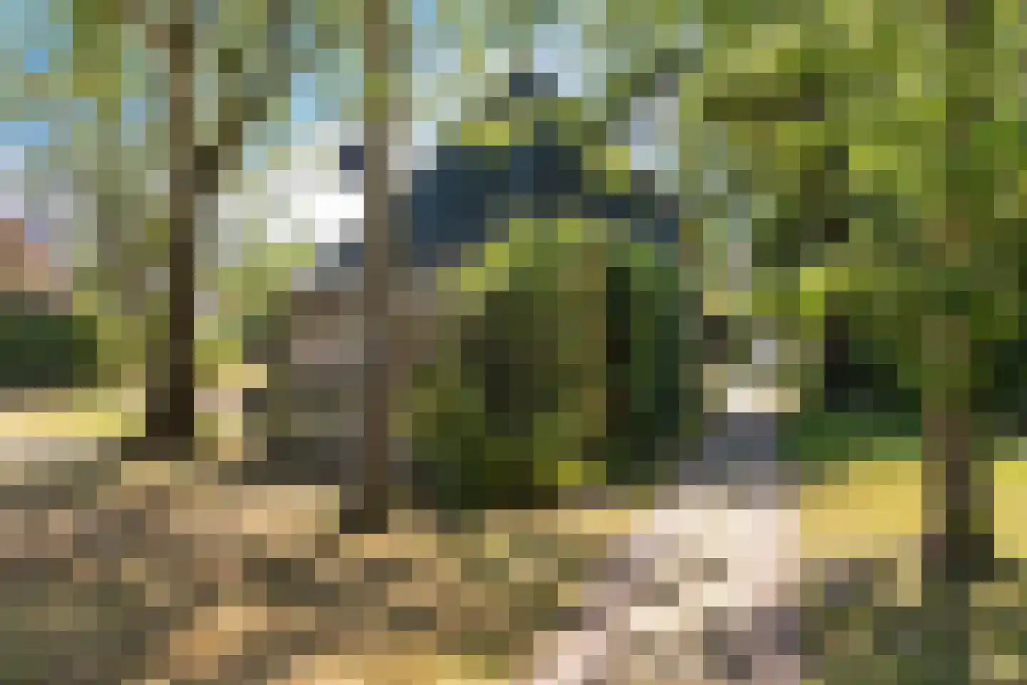 Tsjerkebuorren 5 Easterein thumbnail 23