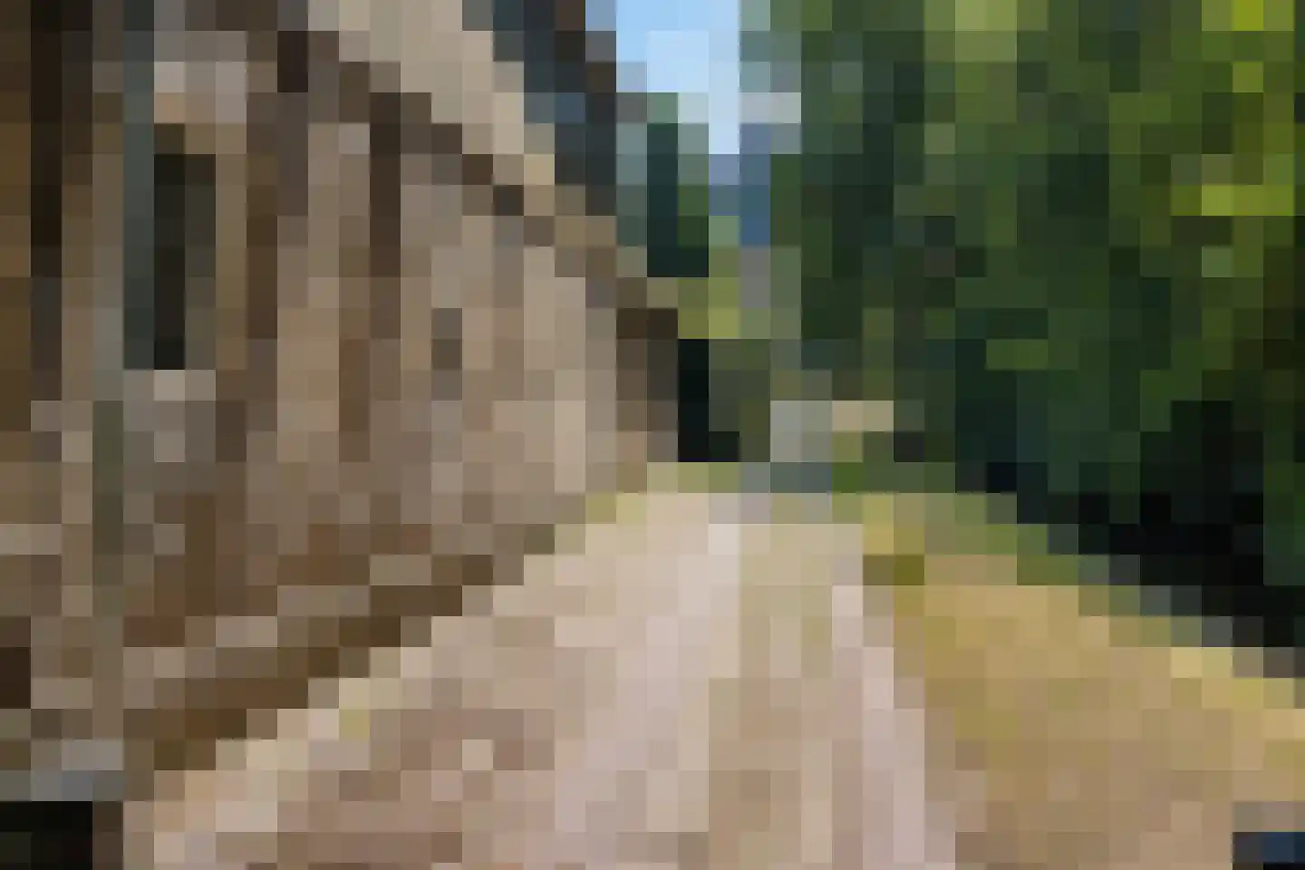 Tsjerkebuorren 5 Easterein thumbnail 24