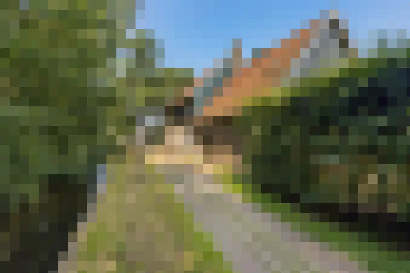 Tsjerkebuorren 5 Easterein thumbnail 25