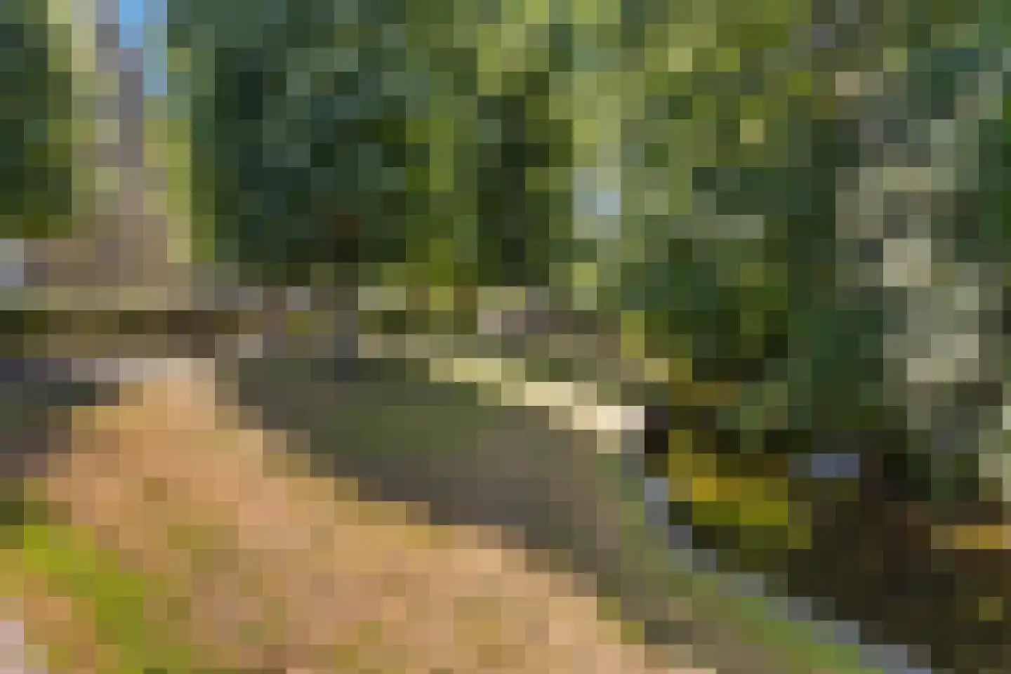 Tsjerkebuorren 5 Easterein thumbnail 26