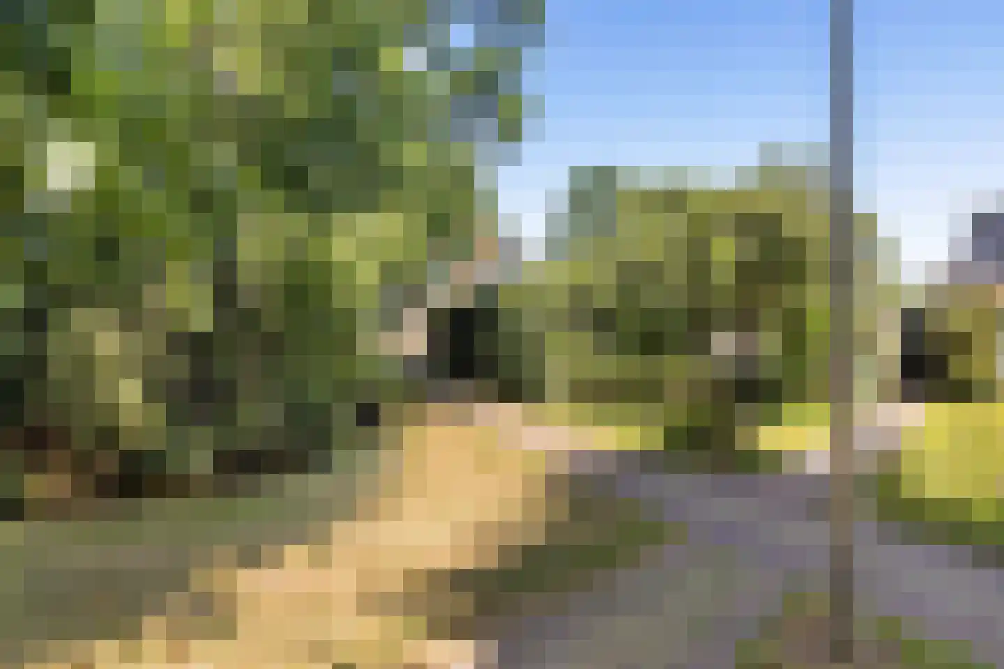 Tsjerkebuorren 5 Easterein thumbnail 27