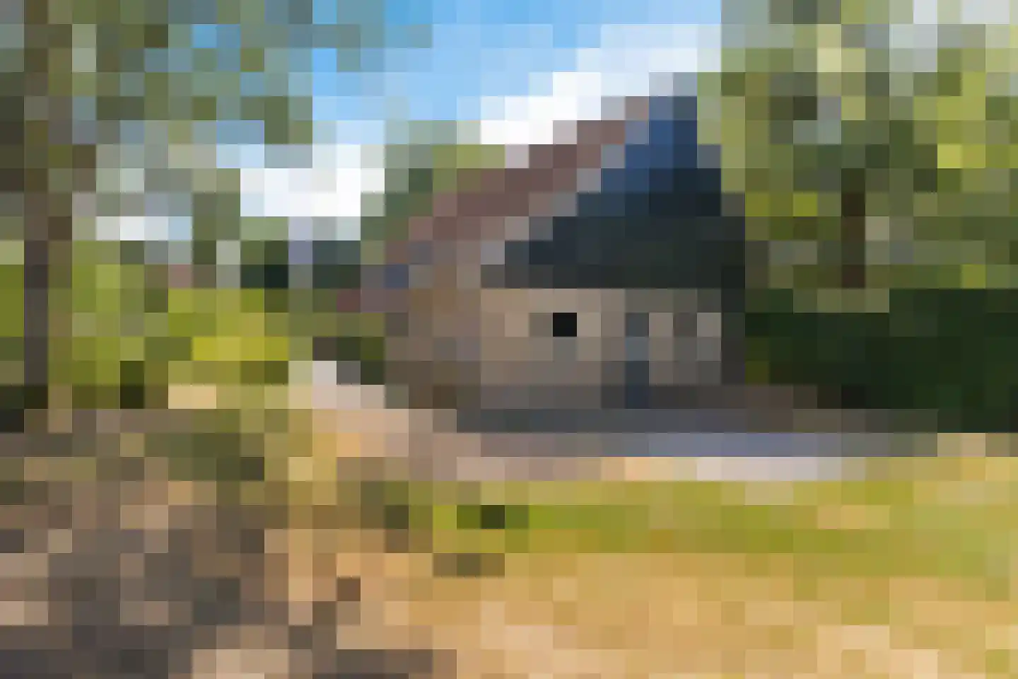 Tsjerkebuorren 5 Easterein thumbnail 28