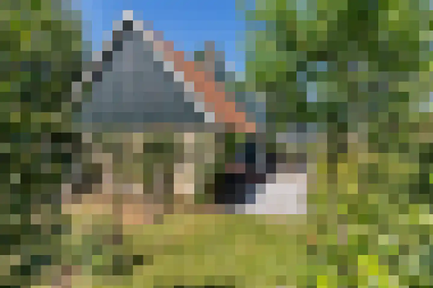 Tsjerkebuorren 5 Easterein thumbnail 30
