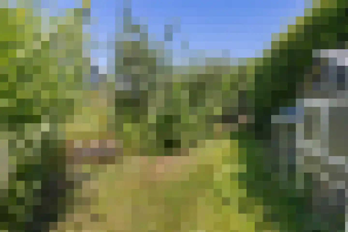 Tsjerkebuorren 5 Easterein thumbnail 31