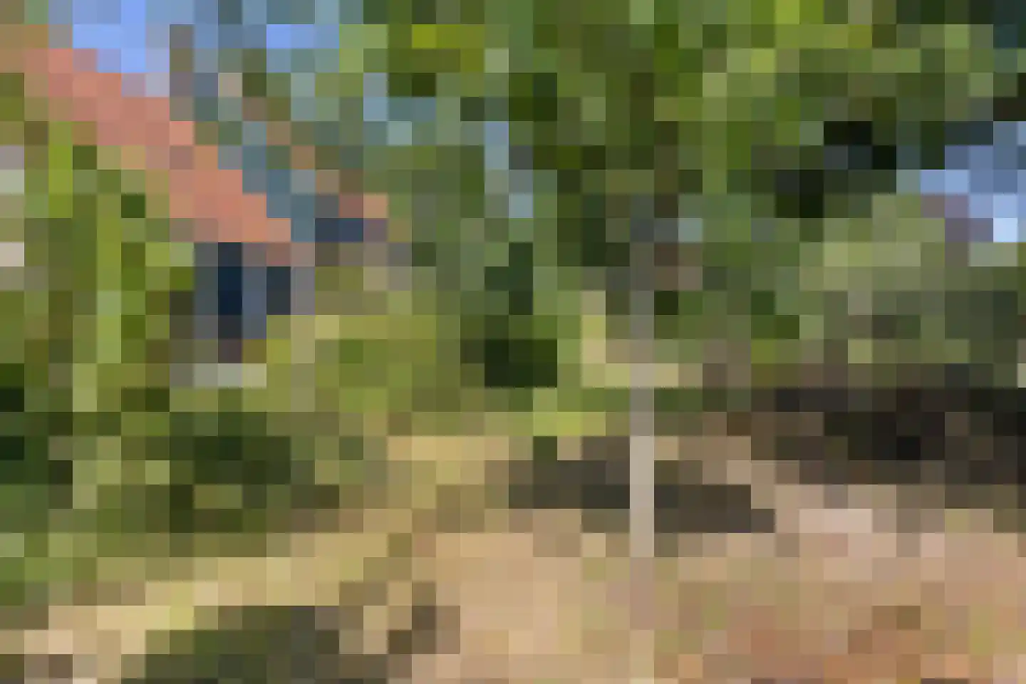 Tsjerkebuorren 5 Easterein thumbnail 32