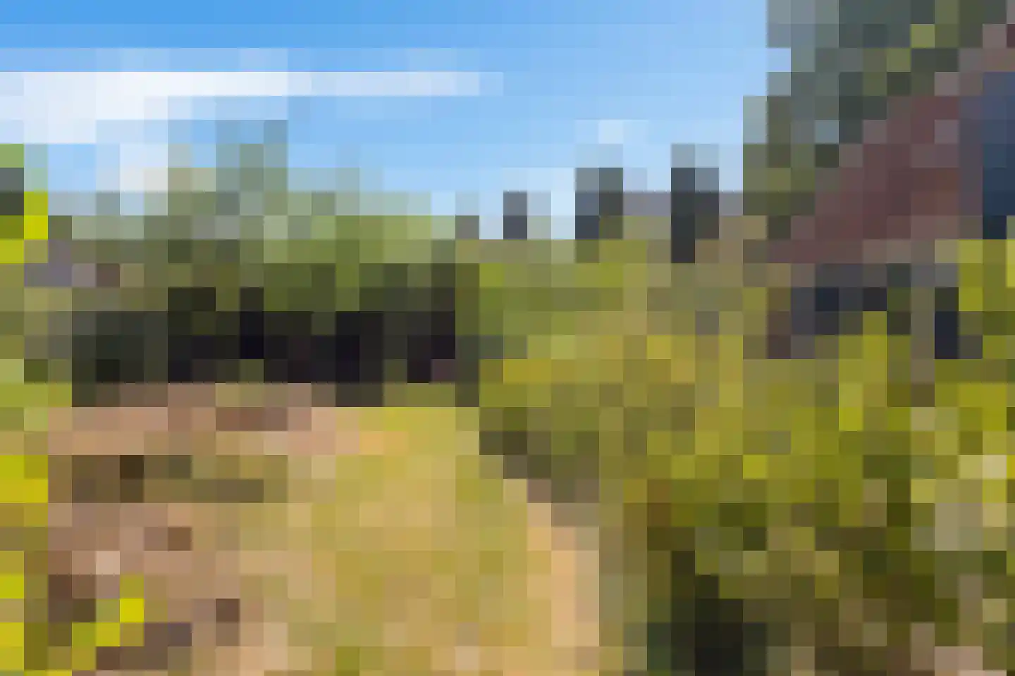 Tsjerkebuorren 5 Easterein thumbnail 34