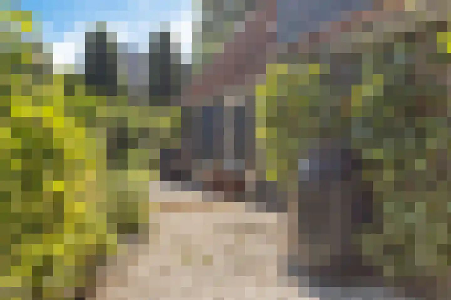 Tsjerkebuorren 5 Easterein thumbnail 35