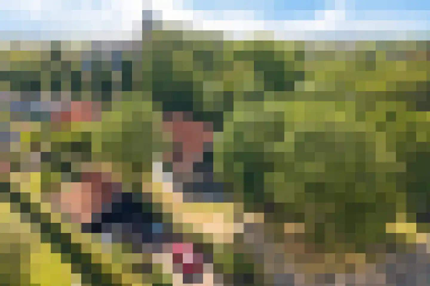 Tsjerkebuorren 5 Easterein thumbnail 39