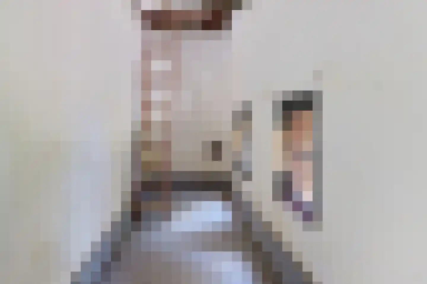 Tsjerkebuorren 5 Easterein thumbnail 7