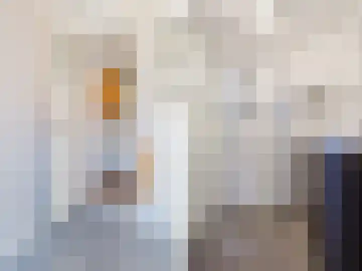Tsjerkebuorren 9 Aldeboarn thumbnail 21
