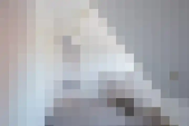 Tsjerkebuorren 9 Aldeboarn thumbnail 23