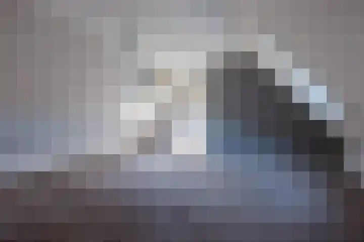 Tsjerkebuorren 9 Aldeboarn thumbnail 30