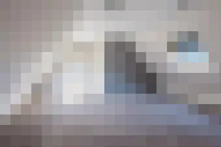 Tsjerkebuorren 9 Aldeboarn thumbnail 31
