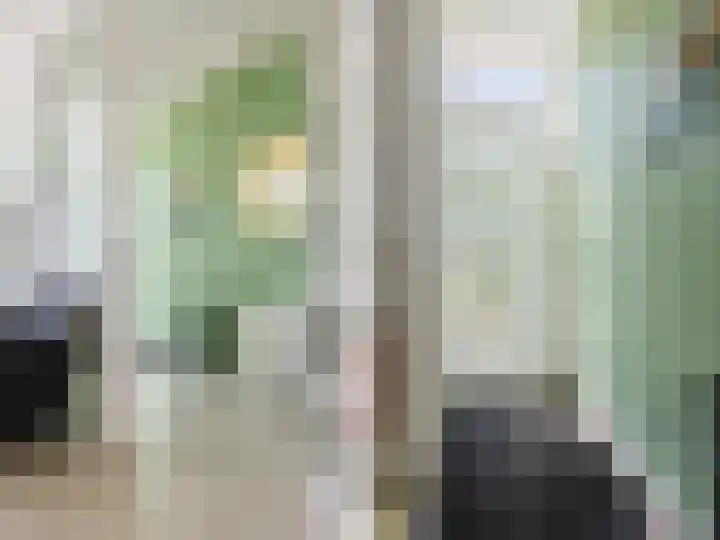 Tsjerkebuorren 9 Aldeboarn thumbnail 32