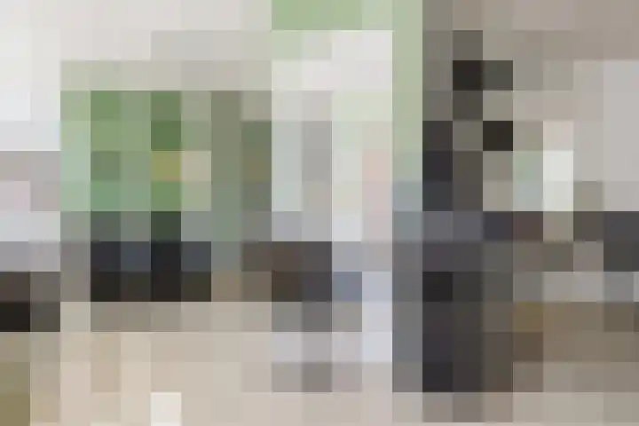 Tsjerkebuorren 9 Aldeboarn thumbnail 33