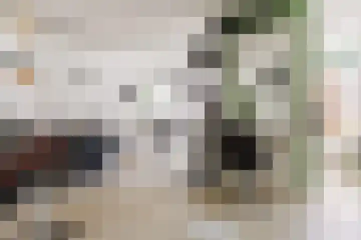 Tsjerkebuorren 9 Aldeboarn thumbnail 34