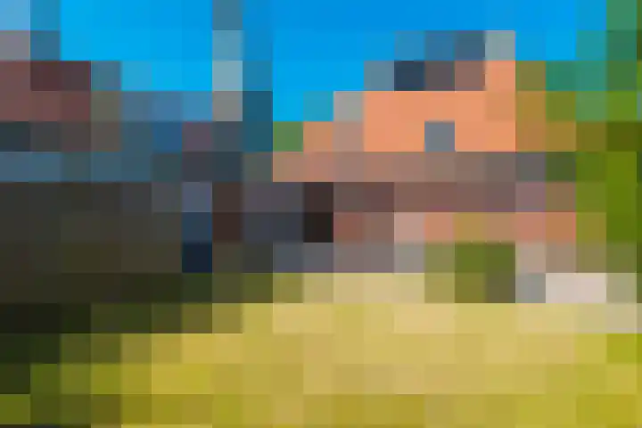 Tsjerkebuorren 9 Aldeboarn thumbnail 40