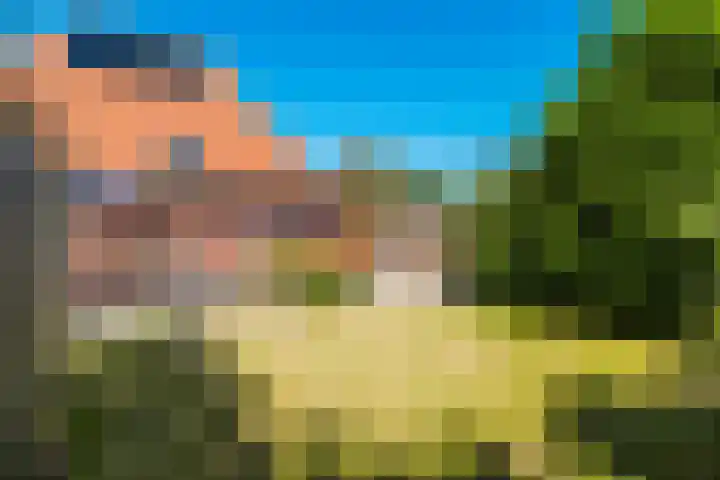 Tsjerkebuorren 9 Aldeboarn thumbnail 41