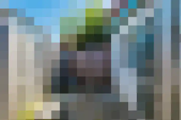 Tsjerkebuorren 9 Aldeboarn thumbnail 44