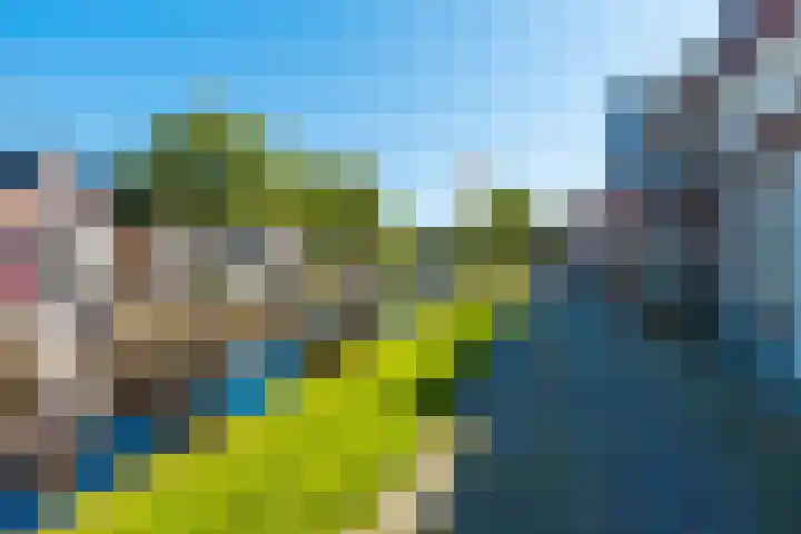 Tsjerkebuorren 9 Aldeboarn thumbnail 48