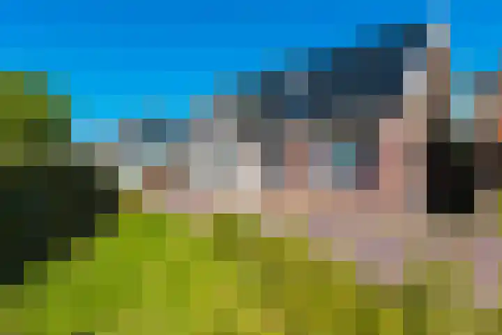 Tsjerkebuorren 9 Aldeboarn thumbnail 6