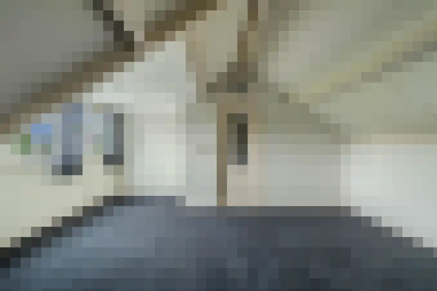 Tsjerkelân 1 Witmarsum thumbnail 20
