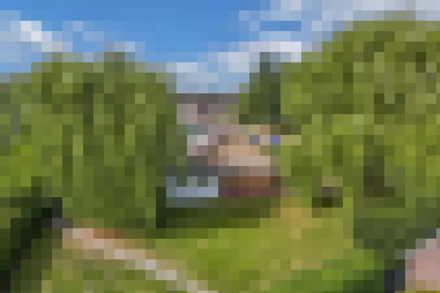 Tsjerkelân 1 Witmarsum thumbnail 30