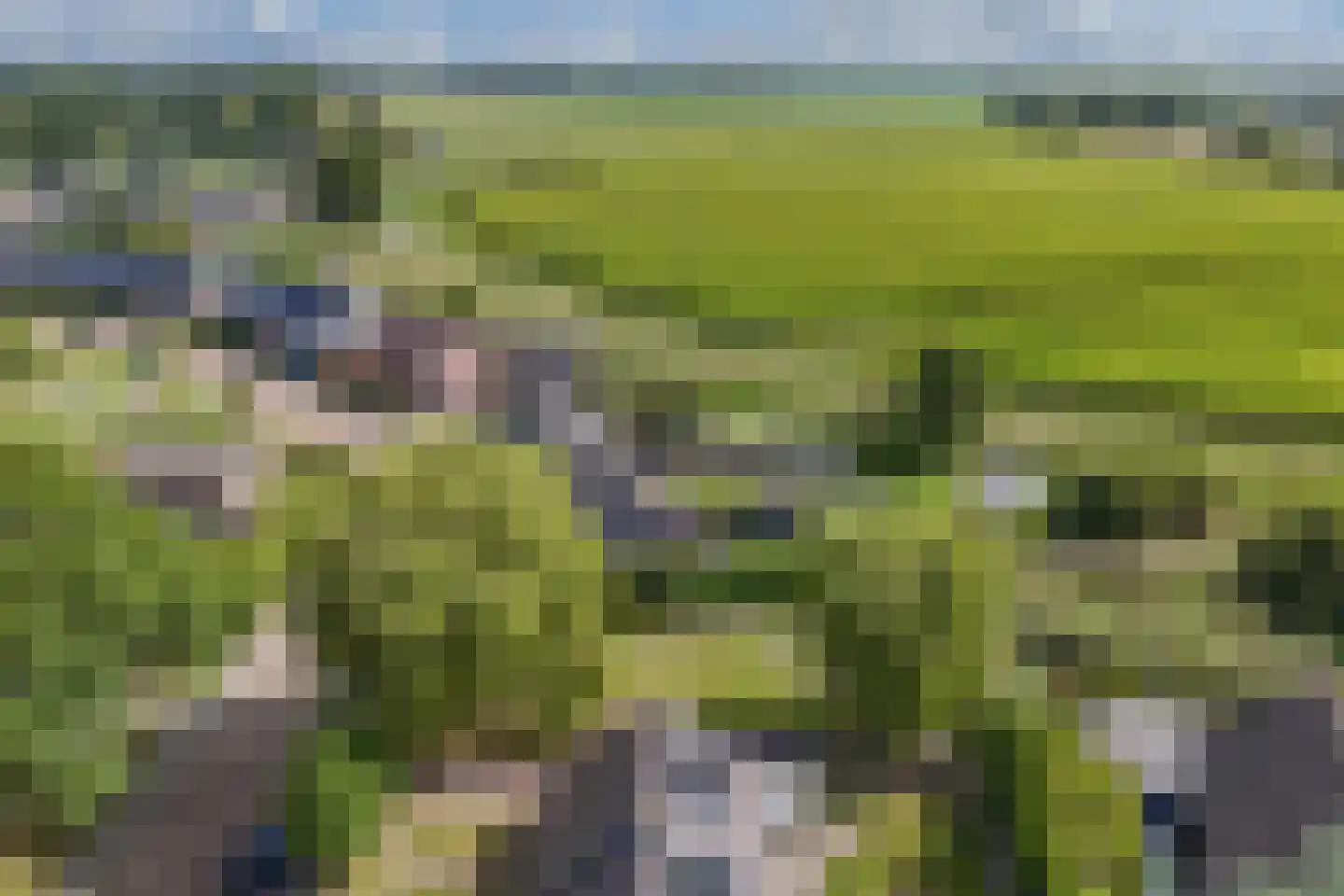 Tsjerkelân 1 Witmarsum thumbnail 33