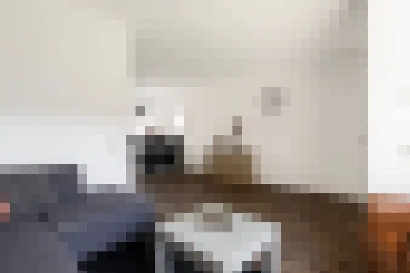 Tsjerkelânsreed 29 Ryptsjerk thumbnail 11