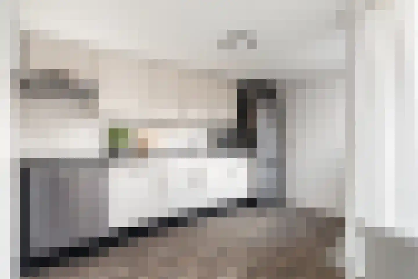 Tsjerkelânsreed 29 Ryptsjerk thumbnail 15