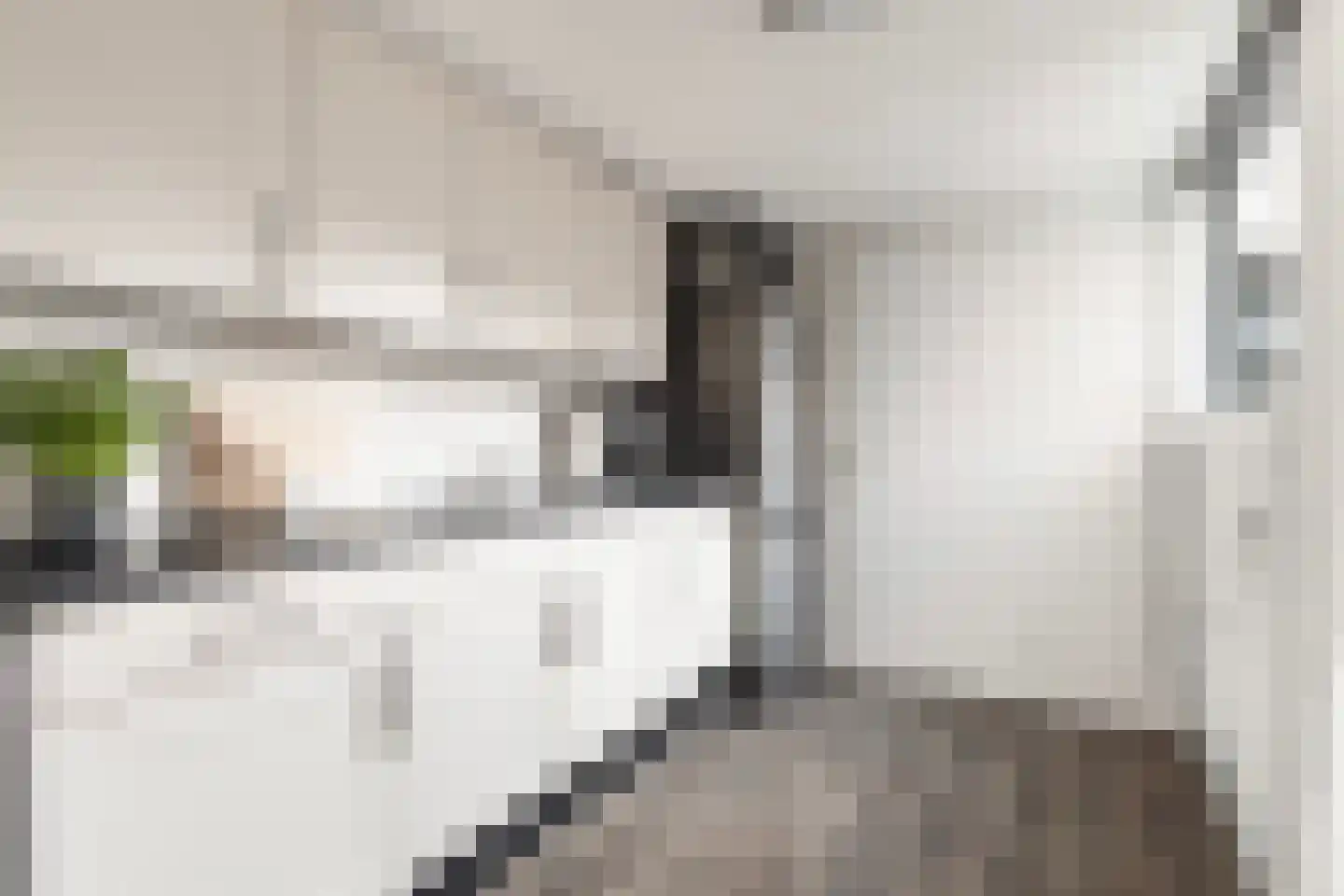 Tsjerkelânsreed 29 Ryptsjerk thumbnail 16