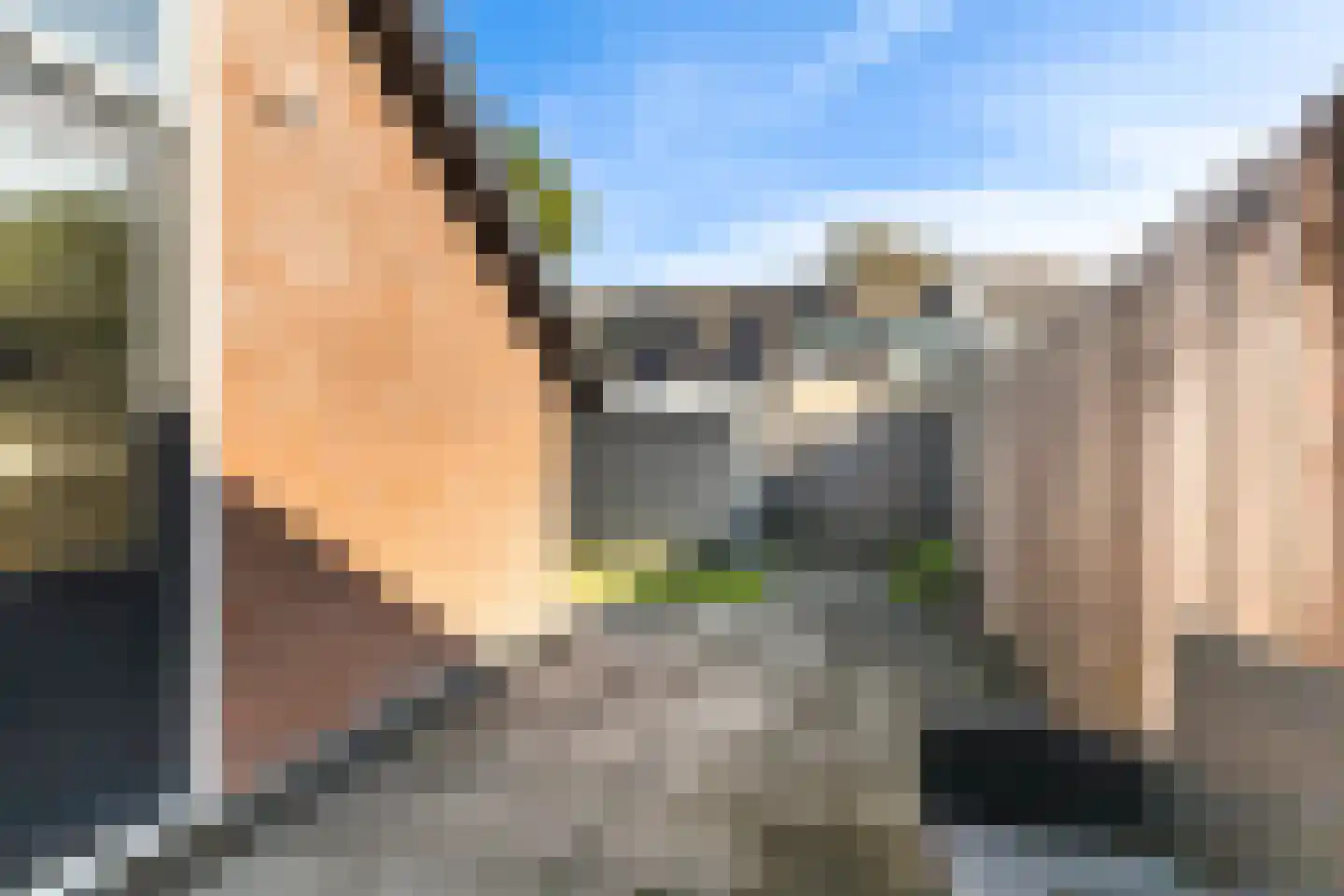 Tsjerkelânsreed 29 Ryptsjerk thumbnail 20