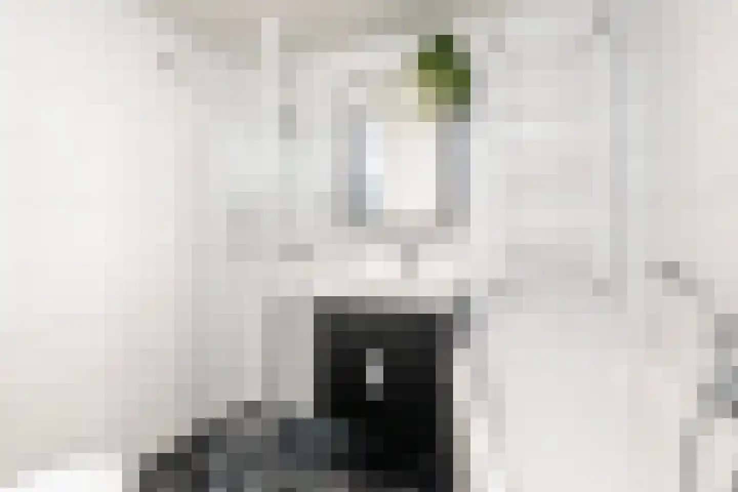 Tsjerkelânsreed 29 Ryptsjerk thumbnail 25