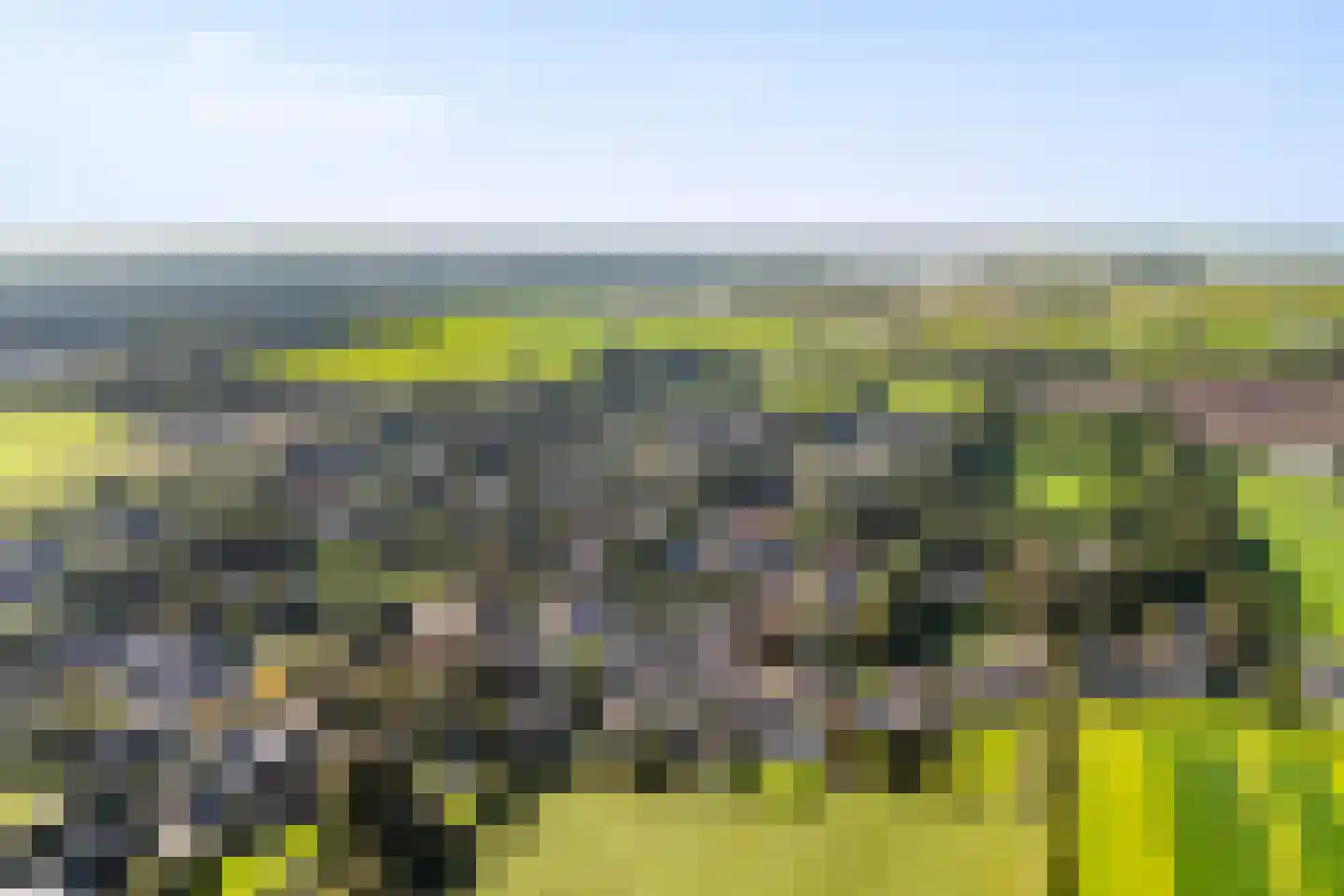 Tsjerkelânsreed 29 Ryptsjerk thumbnail 31