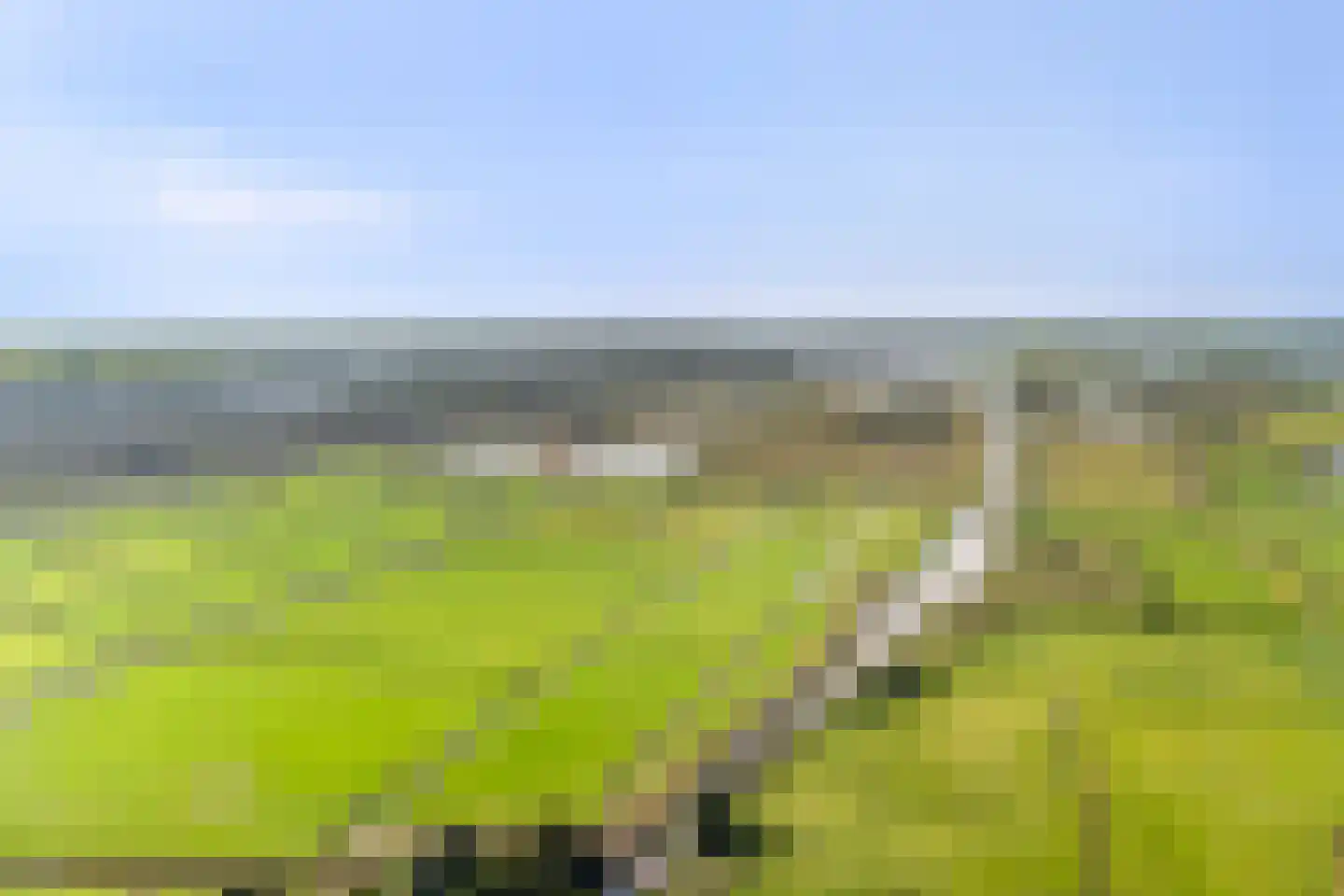 Tsjerkelânsreed 29 Ryptsjerk thumbnail 32