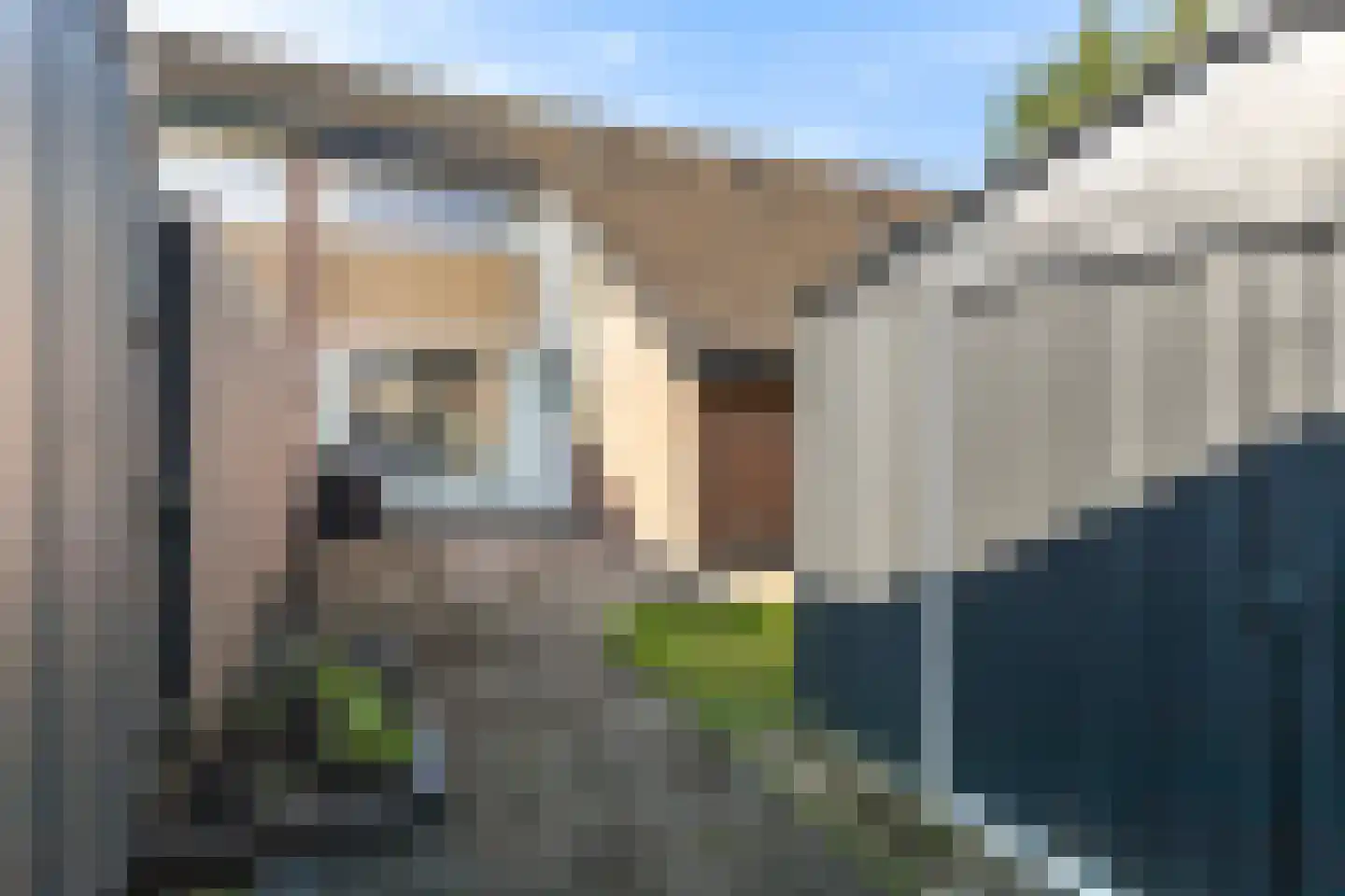 Tsjerkelânsreed 29 Ryptsjerk thumbnail 4