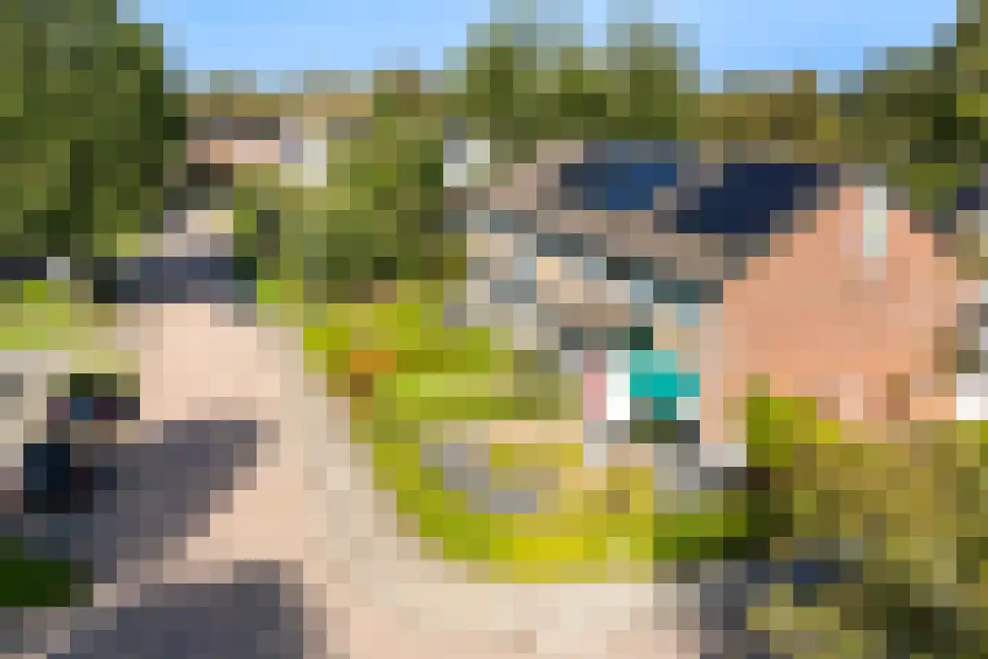 Tsjerkelânsreed 29 Ryptsjerk thumbnail 5