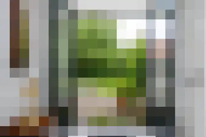 Tsjerkeleane 1 Ingelum thumbnail 11
