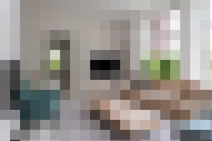 Tsjerkeleane 1 Ingelum thumbnail 13