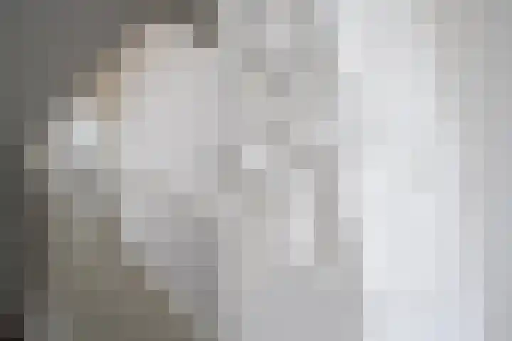 Tsjerkeleane 1 Ingelum thumbnail 22