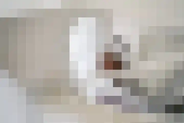Tsjerkeleane 1 Ingelum thumbnail 23