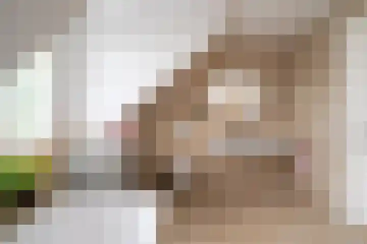 Tsjerkeleane 1 Ingelum thumbnail 28